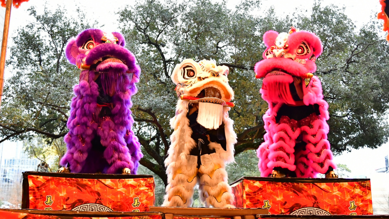LUNAR NEW YEAR LION DANCE