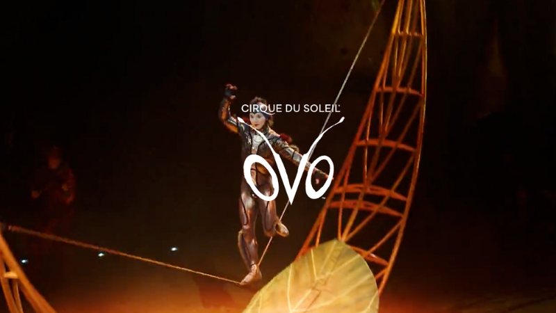 OVO CIRQUE DU SOLEIL 