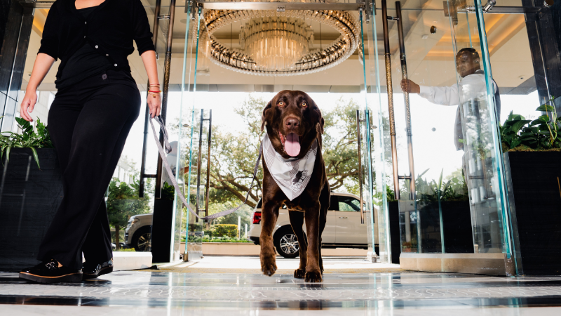 SUMMER ADOPTION EVENT