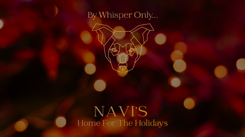 NAVI'S HOME FOR THE HOLIDAYS